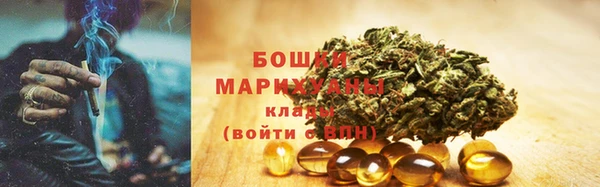 мдпв Богородск