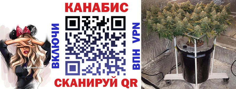 Канабис конопля  Мончегорск 